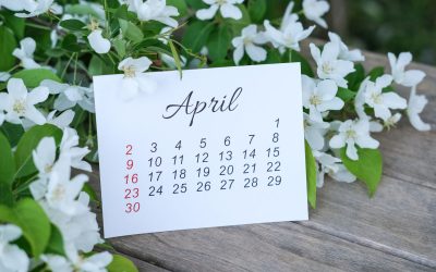 Pe data de 5 aprilie 2026, creștinii ortodocși din întreaga țară sărbătoresc Duminica Floriilor, o zi cu semnificație spirituală profundă și tradiții bogate