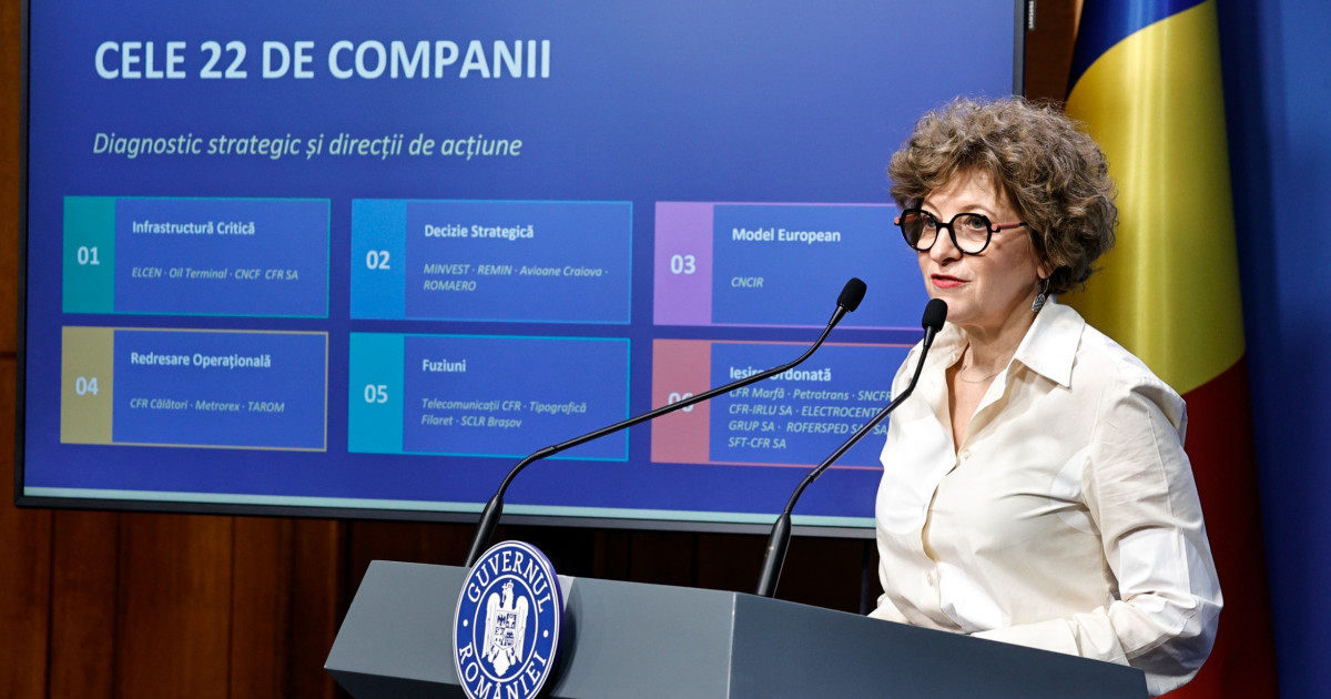 Oana Gheorghiu: Conductă furată, statul tot plătește mii de euro anual