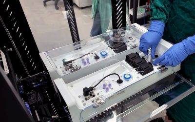 O nouă etapă în cercetarea inteligenței artificiale a fost anunțată de o echipă internațională de cercetători, care a reușit să folosească neuroni umani cultivati pentru a comunica cu computerele