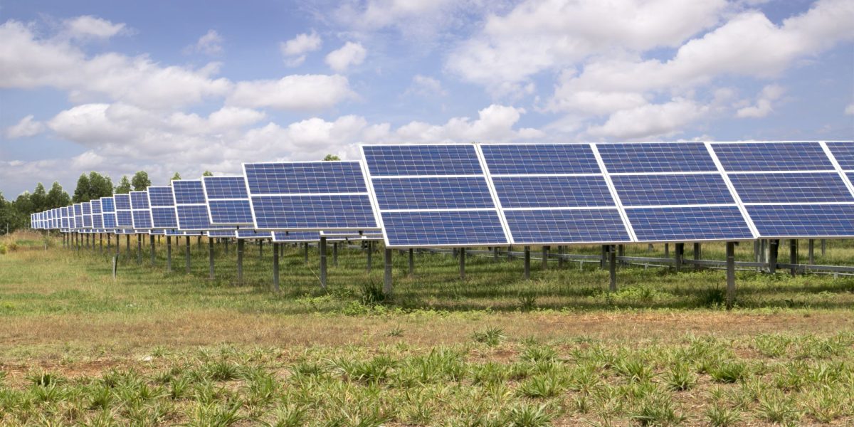 Noul investitor din România își lansează cea mai mare afacere din carieră