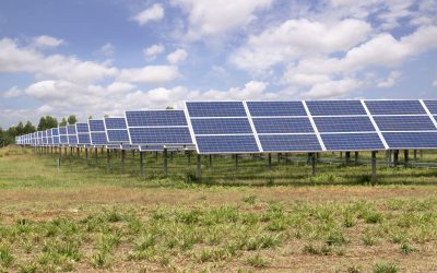 Noul investitor din România își lansează cea mai mare afacere din carieră