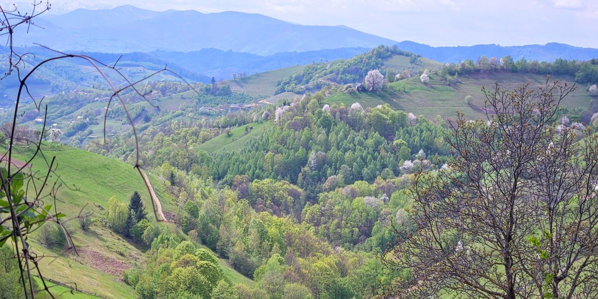 România va beneficia de mai multe zile de liberă în cursul anului 2026, datorită calendarului sărbătorilor legale, în special pentru sărbătorile religioase și zilele nationale