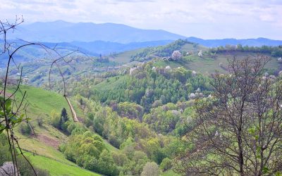 România va beneficia de mai multe zile de liberă în cursul anului 2026, datorită calendarului sărbătorilor legale, în special pentru sărbătorile religioase și zilele nationale