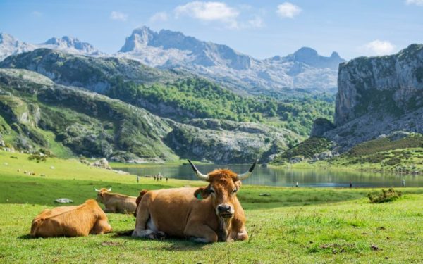 Locul SECRET din Europa, desemnat cel mai frumos: pare rupt din povești!