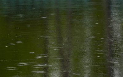 Vremea favorizează desfășurarea evenimentelor sportive de la Augusta în perioada următoare, potrivit prognozelor meteo, care indică temperaturi plăcute pentru această săptămână