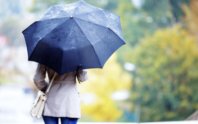 Vremea se Răcește Brusc în București: Ploi și Lapoviță Anunțate Meteorologii avertizează cu privire la o schimbare bruscă a vremii în București, cu temperaturi mai scăzute decât cele obișnuite pentru această perioadă a anului