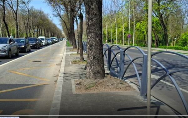 București: Bandă unică pentru autobuze pe Bulevardul Regele Mihai I, stații relocate