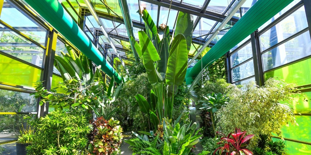 Serele exotice din Parcul Drumul Taberei își modifică programul de vizitare pentru perioada sărbătorilor pascale