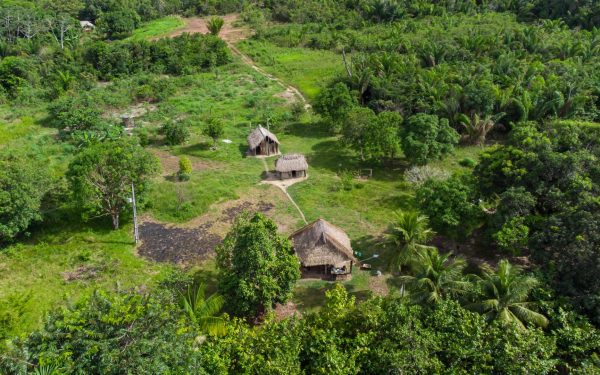 Antice drumuri, vechi de 2.700 de ani, dezvăluite în inima Amazonului