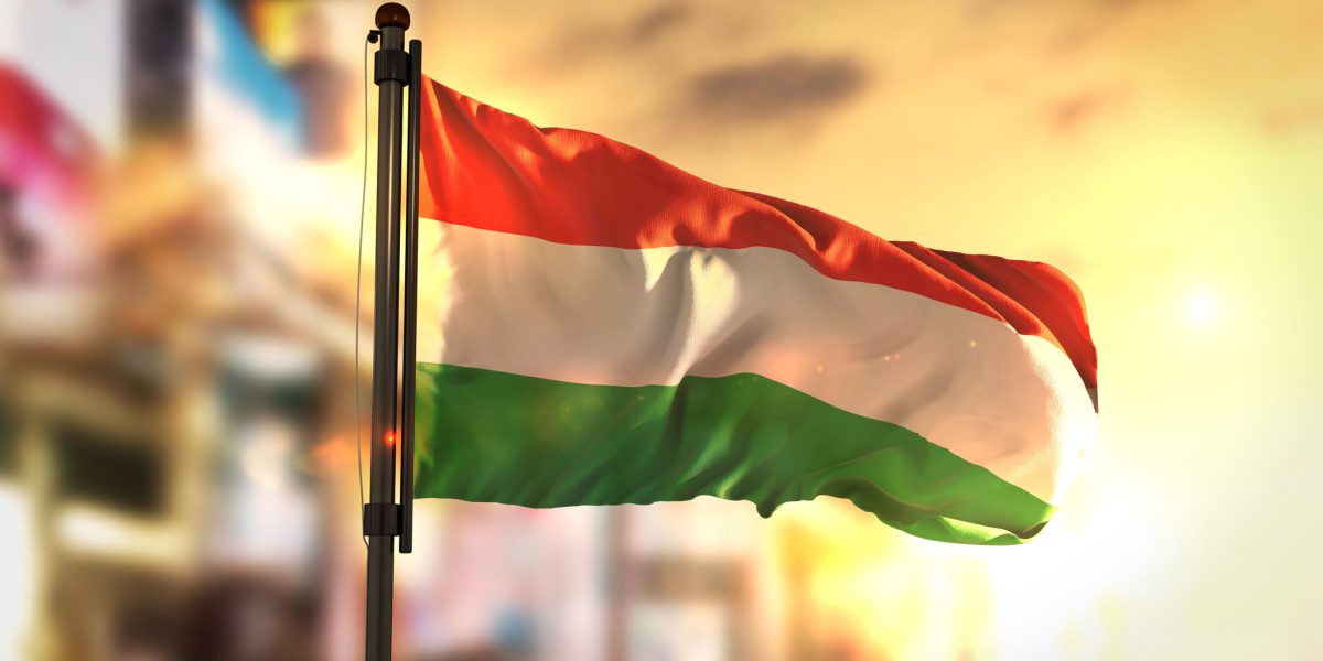 UPDATE Alegeri Ungaria 2026: APROAPE 80% prezența la vot. Surprizele rezultatelor!