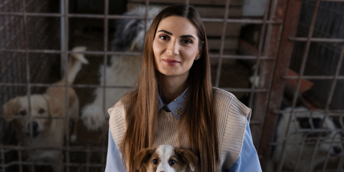 Scandalul legat de abatoarele de câini, precum cele din Suraia și Uzunu, a scoasă la lumină o serie de probleme legate de gestionarea câinilor fără stăpân în România, precum și mecanismele care permit externalizarea serviciilor către operatori privați, fără controale eficiente din partea autorităților locale