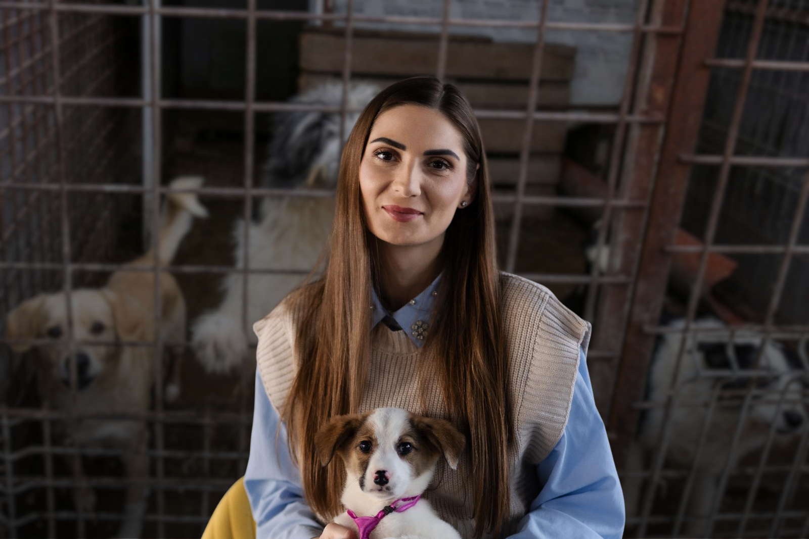 Scandalul legat de abatoarele de câini, precum cele din Suraia și Uzunu, a scoasă la lumină o serie de probleme legate de gestionarea câinilor fără stăpân în România, precum și mecanismele care permit externalizarea serviciilor către operatori privați, fără controale eficiente din partea autorităților locale