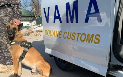 Autoritatea Vamală Română (AVR) a lansat luni, 6 aprilie 2026, o amplă operațiune de control pe principalele rute de transport din țară, concentrată pe importurile de produse alimentare perisabile