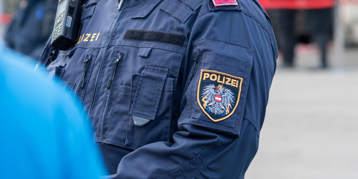 Poliția din Viena a reținut o bandă de escroci formată aproape în totalitate din români