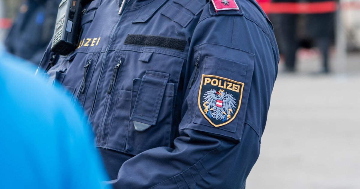 Viena: Poliția a reținut o bandă de escroci români. Majoritatea, din România