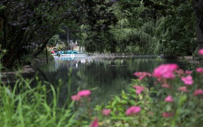 Vreme de primăvară cu ploi la Nagycsütörtök