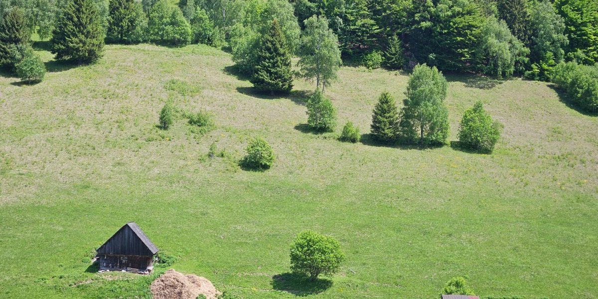 Prognoza meteo pentru următoarele două săptămâni, în fiecare regiune a țării