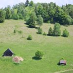 Prognoza meteo pentru următoarele două săptămâni, în fiecare regiune a țării