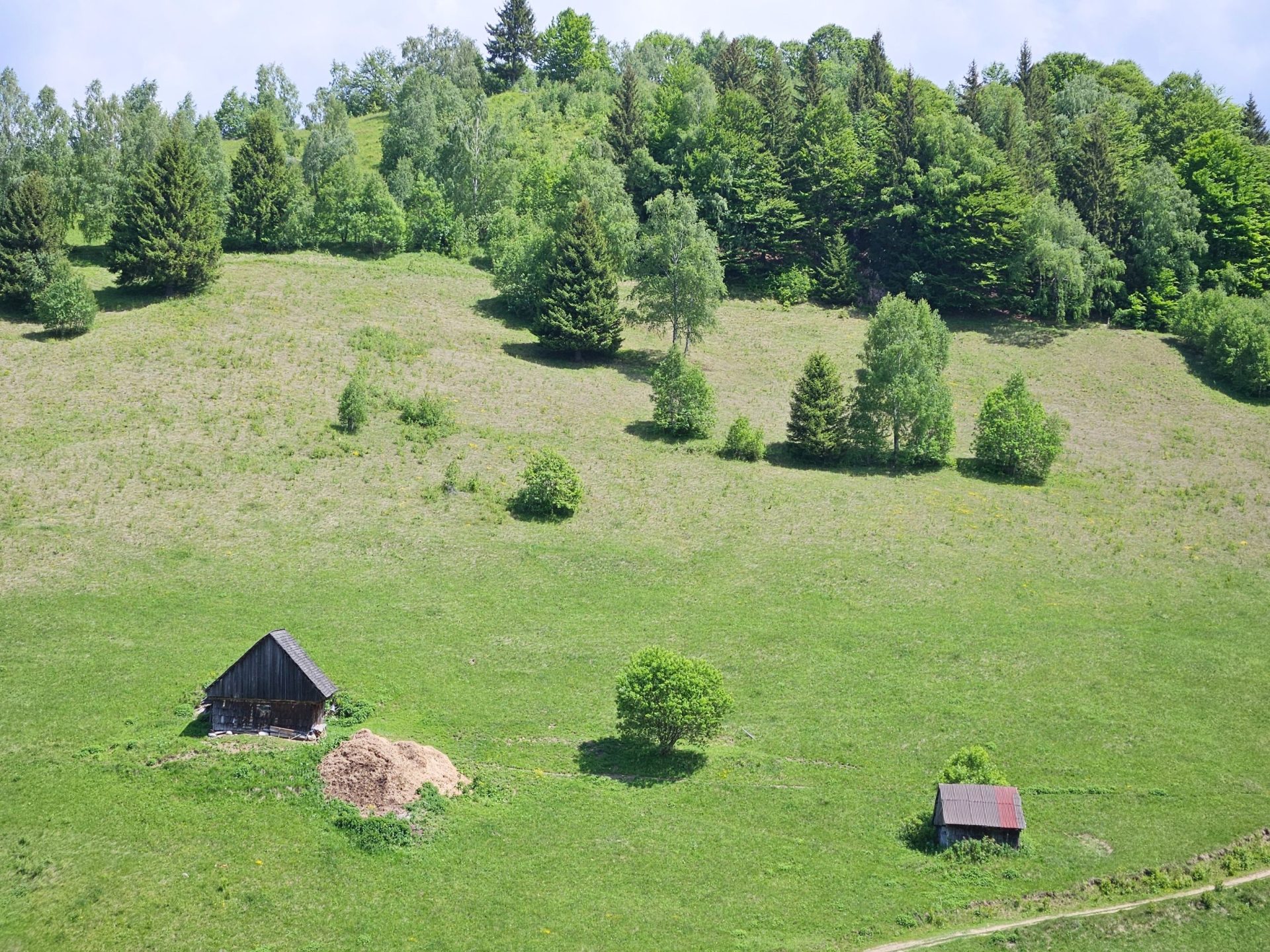 Vremea în România: Prognoza pentru 2 săptămâni, regiune cu regiune
