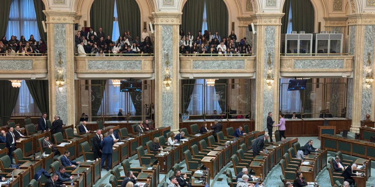 Senatorii au votat, miercuri, în ședința de plen, un proiect de lege care permite consumul de alcool pe stadioane, în anumite condiții