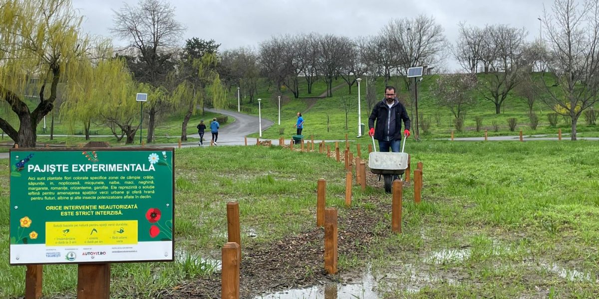Parcul Tineretului devine, din nou, un exemplu de implicare comunitară în menținerea și conservarea unor spații verzi din București, în condițiile în care traseul zilnic al parcului a fost marcat, recent, de activitatea voluntarilor și de proiectele de regenerare urbană