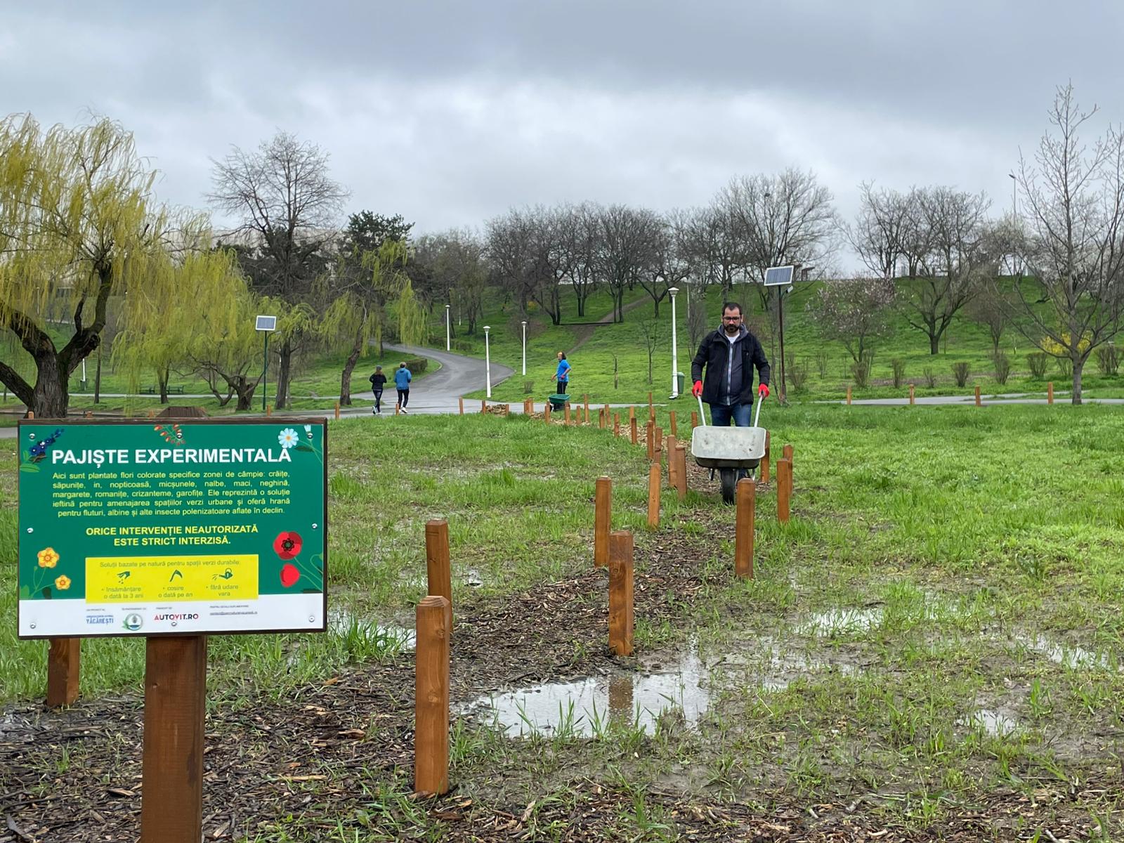 Parcul Tineretului devine, din nou, un exemplu de implicare comunitară în menținerea și conservarea unor spații verzi din București, în condițiile în care traseul zilnic al parcului a fost marcat, recent, de activitatea voluntarilor și de proiectele de regenerare urbană