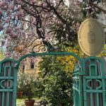 REPORTAJ: Reacții dure la Ambasada Ungariei din București după înfrângerea lui Viktor Orban