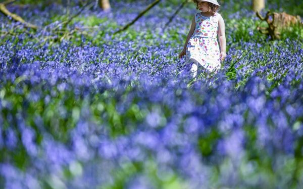 Vine căldura în România: Când cresc temperaturile și unde va fi caniculă