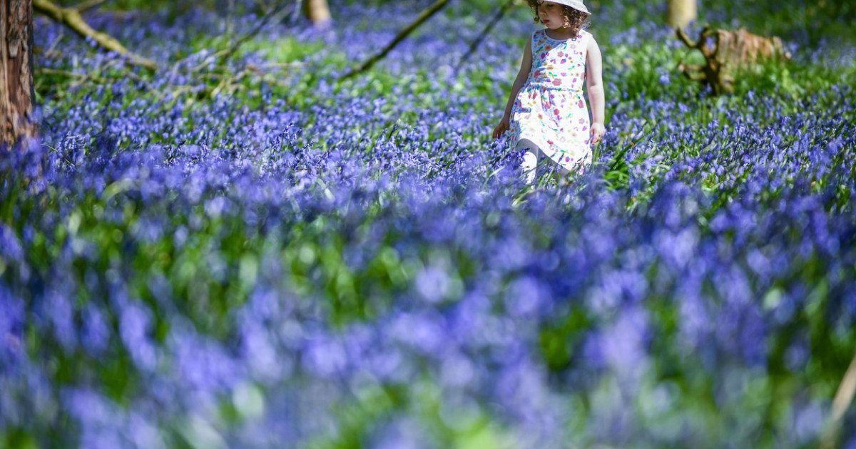 Vine căldura în România: Când cresc temperaturile și unde va fi caniculă