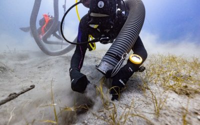 Un fragment din decorațiunea sculpturală de la Partenon, considerat pierdut timp de peste două secole, a fost recent recuperat din epava navei Mentor, asigurând astfel o legătură directă cu istoria patrimoniului cultural grec, relatează Greek Reporter