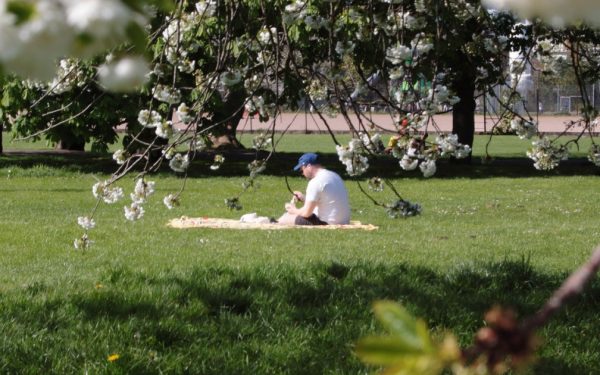 Meteorologii anunță: Cum va fi VREMEA de 1 Mai și în următoarele săptămâni