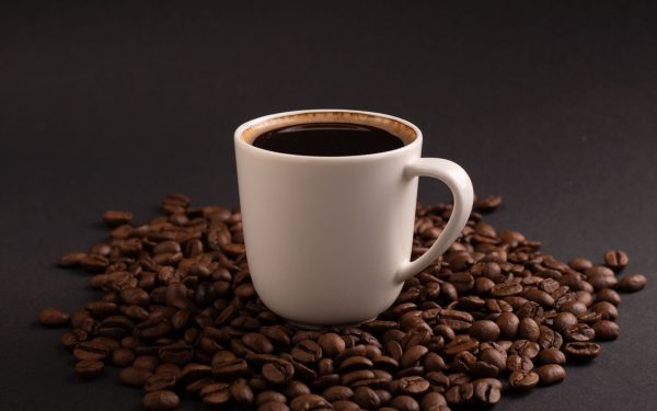 Cofeina dă dependență și furnicilor: Experimentul uluitor, cu rezultate neașteptate