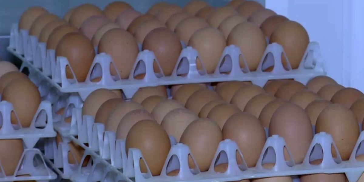 Ouă cu Salmonella retrase: pericol SANITAR la cumpărături de Sărbători