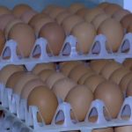 Ouă cu Salmonella retrase: pericol SANITAR la cumpărături de Sărbători