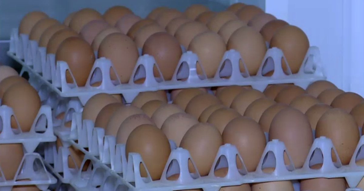 Ouă cu Salmonella retrase: pericol SANITAR la cumpărături de Sărbători