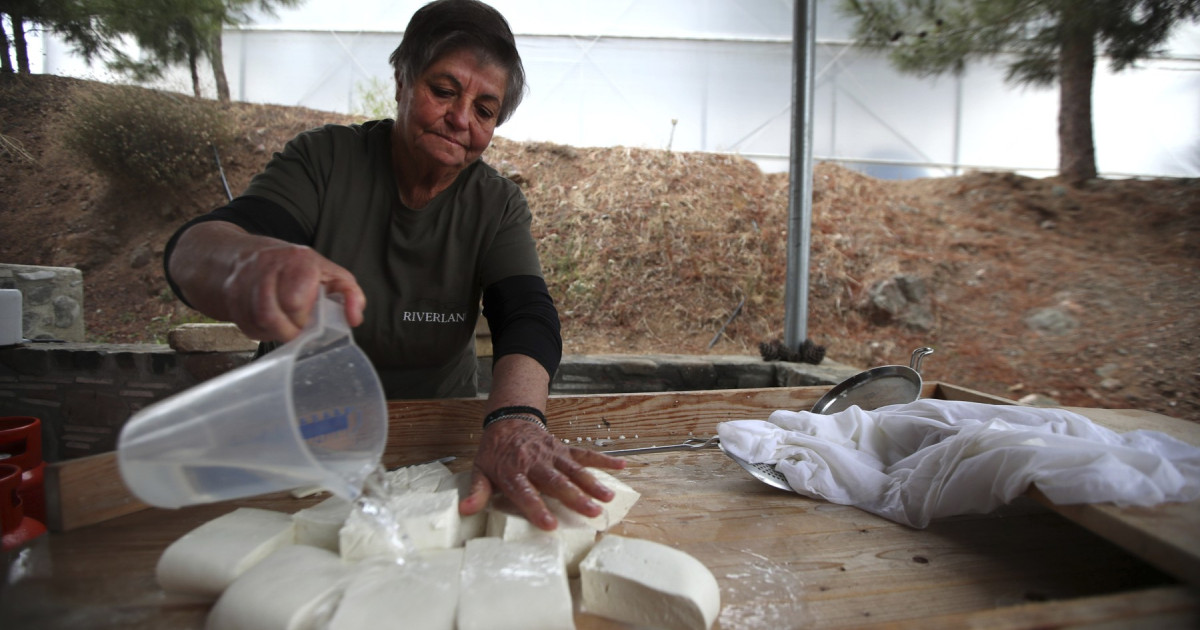 Brânza Halloumi, în criză: fermieri ciprioți, loviți de boală. Soluția, la turci