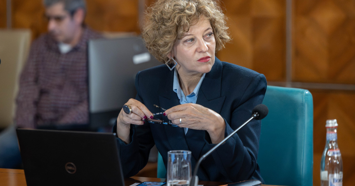 Oana Gheorghiu, replica la Tarom: "Dacă nu ne eficientizăm, dispărem!"