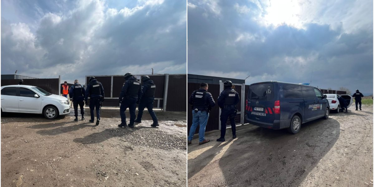 Percheziții într-un dosar de eutanasiere ilegală la un adăpost de câini din Suceava Joi, 9 aprilie, au avut loc percheziții la locuința primarului comunei Berchișești, Violeta Țăran, și la adăpostul de câini gestionat de fiul acesteia, Cătălin Țăran