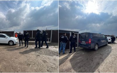 Percheziții într-un dosar de eutanasiere ilegală la un adăpost de câini din Suceava Joi, 9 aprilie, au avut loc percheziții la locuința primarului comunei Berchișești, Violeta Țăran, și la adăpostul de câini gestionat de fiul acesteia, Cătălin Țăran