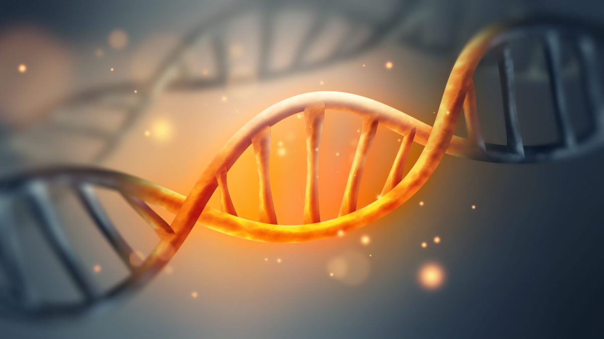 Unde se ascunde secretul codului genetic: indicii-cheie?