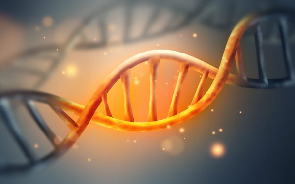 Unde se ascunde secretul codului genetic: indicii-cheie?