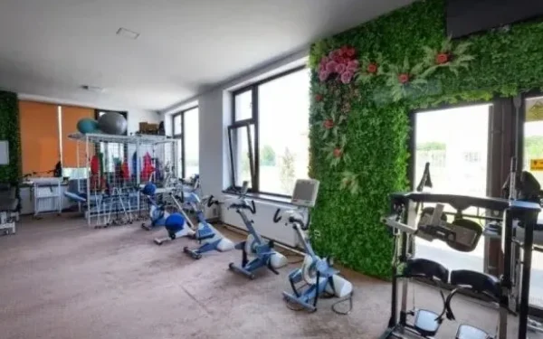 Spitalul Sf. Sava, succes european în recuperare medicală, intră în Affidea