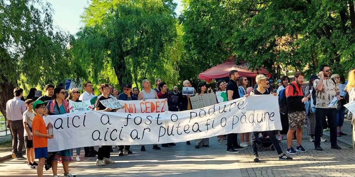 Cum înființezi un grup civic: lecții din cinci cartiere ale Bucureștiului