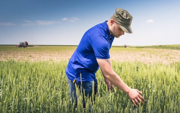 Criză îngrășămintelor: Fermierii cer ajutor la Bruxelles. România, în pericol