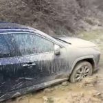 Jandarmii, eroi: Au salvat turiști rătăciți de GPS într-un drum de coșmar