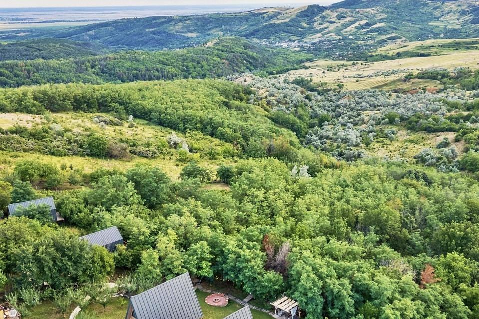 Arta Chalet: Cum a prins viață un refugiu de lux în Dealu Mare, România