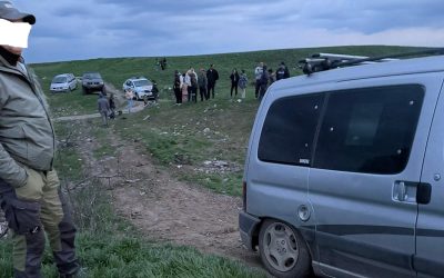 Doi pădurari din Parcul Natural Lunca Mureșului au fost agresati de hoți de lemne, în timp ce încercau să-i oprească pe infractori