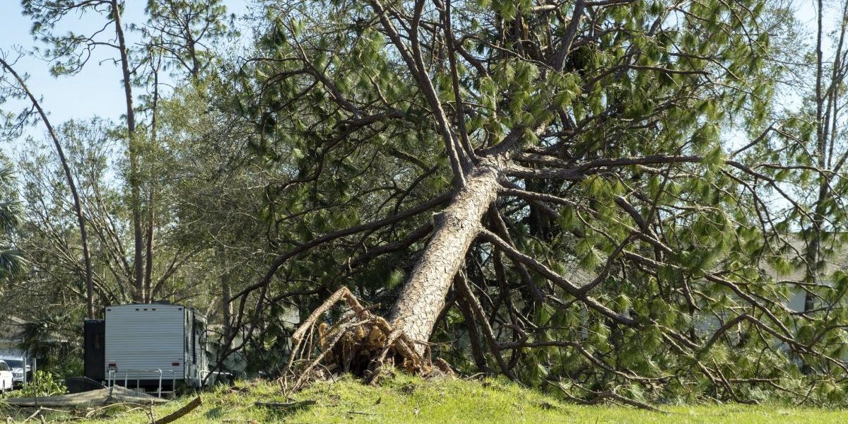 Alertă ANM: Cod galben de vânt puternic, rafale de 90 km/h în România