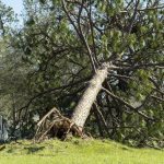 Alertă ANM: Cod galben de vânt puternic, rafale de 90 km/h în România