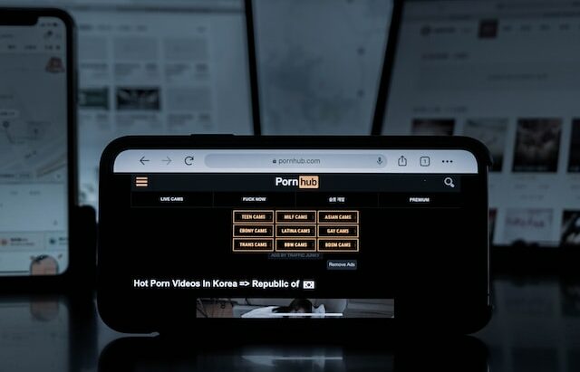 Britanicii, interzicere drastică: Pornografia familială, OUT din lege!